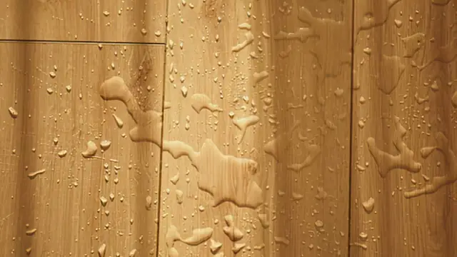Water droplets beaded on hardwood floor boards
